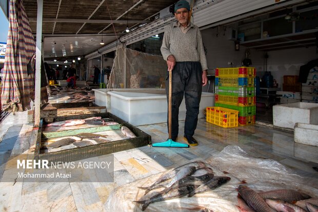 Fish market in Bandar-e Torkaman