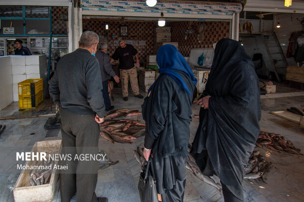 Fish market in Bandar-e Torkaman