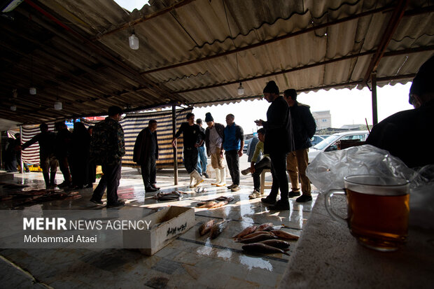 Fish market in Bandar-e Torkaman