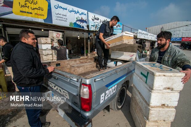 بازار ماهی فروشان بندرترکمن