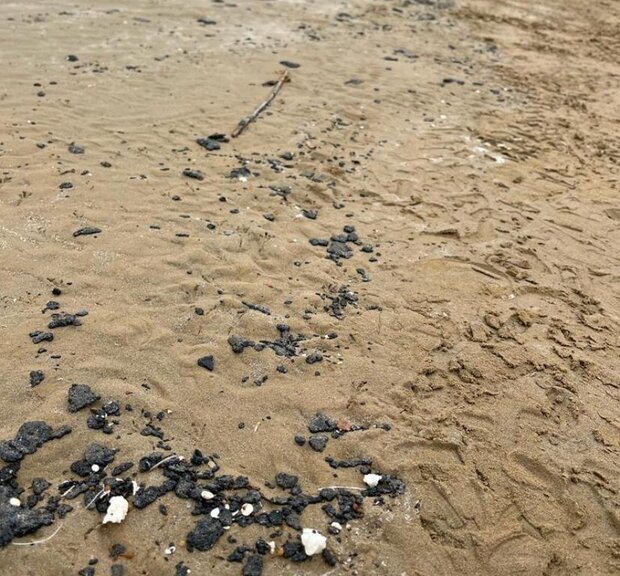 آلودگی دوباره ساحل گناوه به مواد نفتی/ عملیات پاکسازی آغاز شد