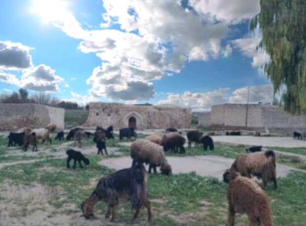 مشکلات نمادسازی بر گرده تاریخ دهدشت/ مرثیه ای برای بلادشاپور