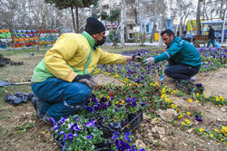 شادکام: آماده‌سازی بجنورد برای نوروز و رمضان آغاز شد