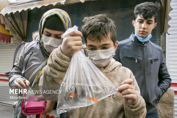 Tabriz ahead of Nowruz