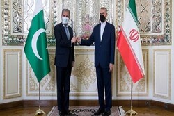 Iranian, Pakistani FMs discuss regional, bilateral issues