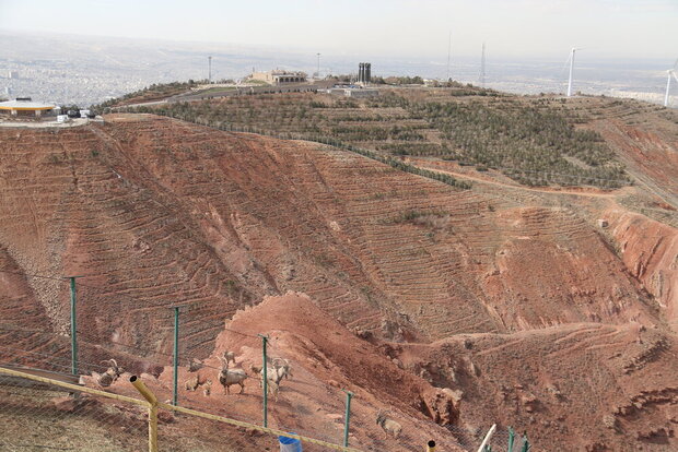 تفرجگاه عینالی تبریز برای تعطیلات عید نوروز آماده می شود
