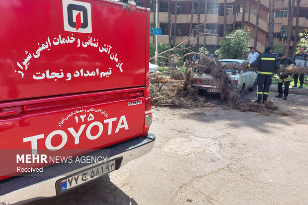خسارات وزش باد شدید در شیراز