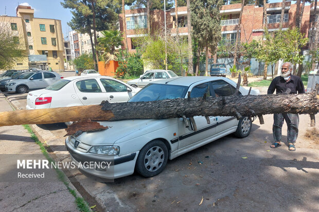 خسارات وزش باد شدید در شیراز