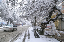 هوای سرد زمستانی همچنان میهمان نوروزی اردبیل