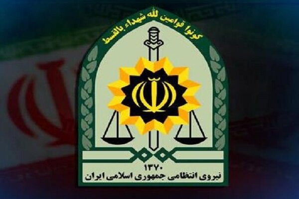 ۲۱۲ راس دام قاچاق در کرمانشاه و کنگاور توسط پلیس کشف شد