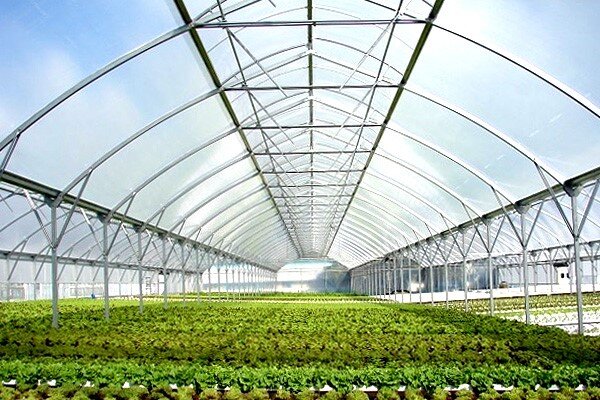 ۵۰۰ هکتار گلخانه کشاورزی در چهارمحال و بختیاری احداث می‌شود