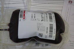 مراجعه بیش از ۶۵ هزار گیلانی برای اهدای خون/ ۲۱۶۷ نفر از اهداکنندگان بانوان هستند