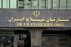 جزییات تامین سرمایه در گردش فعالیت‌های شیلاتی اعلام شد