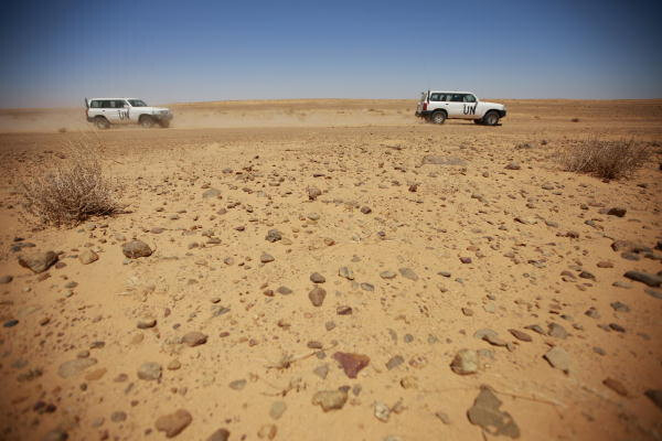 Algeria recalls Spain envoy over Western Sahara policy change