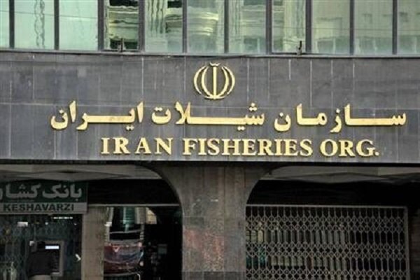 رئیس سازمان شیلات ایران منصوب شد