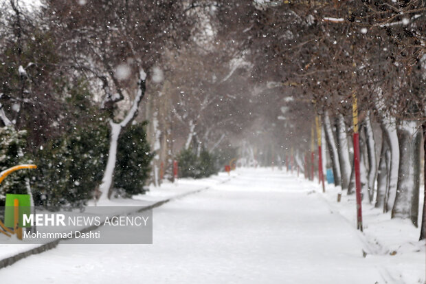 Snowfall in Ardabil during Nowruz
