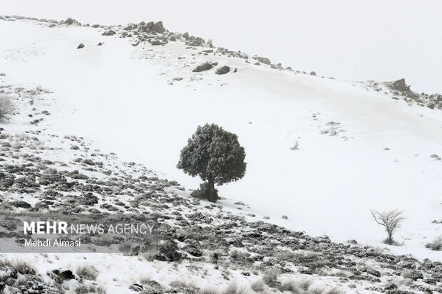 طبیعت بهاری شهرستان طارم