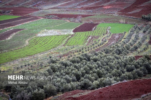 طبیعت بهاری شهرستان طارم