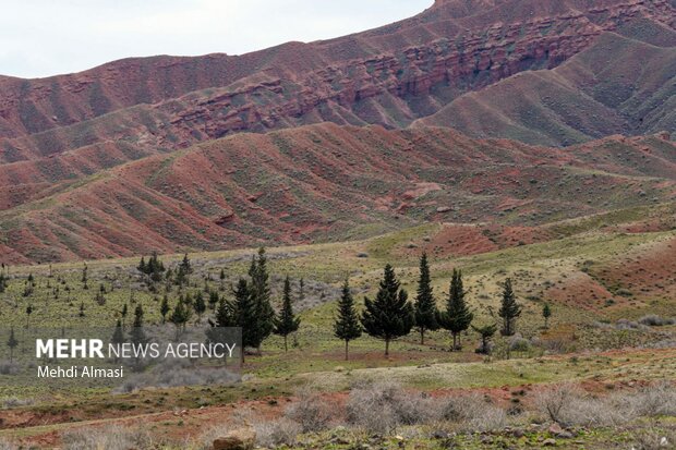 طبیعت بهاری شهرستان طارم