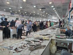 قیمت انواع ماهی امروز دوشنبه ششم تیرماه ۱۴۰۱