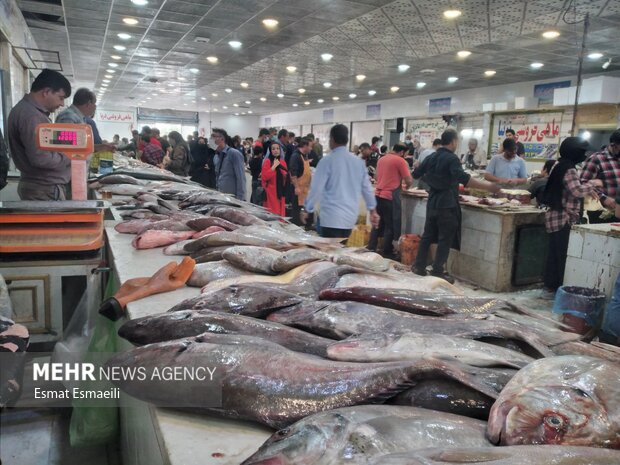 عرضه مستقیم ماهی از صید به مصرف در فروشگاههای بندرعباس
