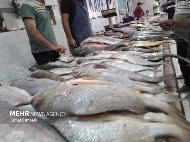 قیمت انواع ماهی در بازار تهران