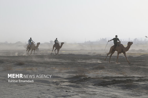 مسابقه شتر سواری در روستای گروک شهرستان جاسک