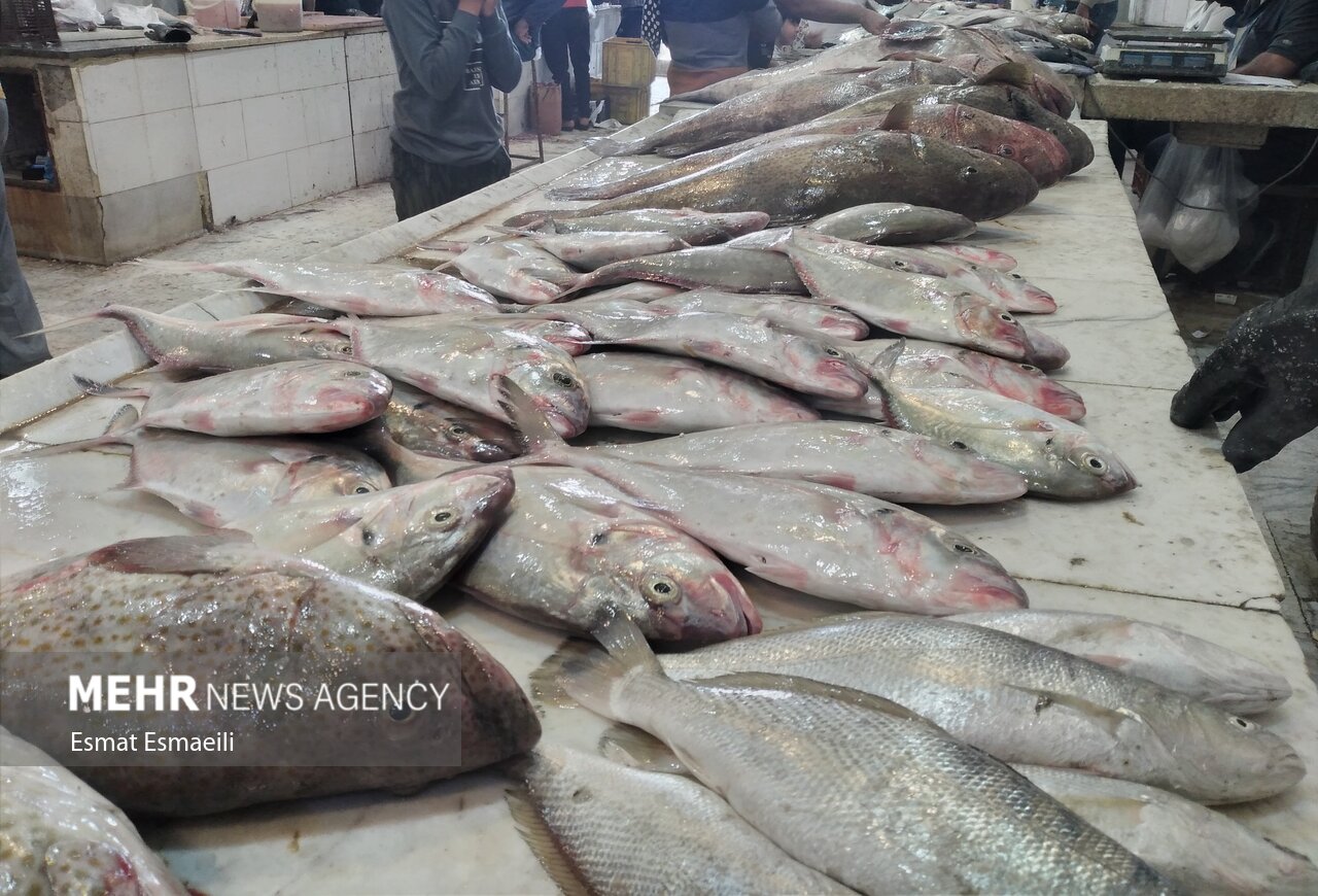 آغاز عملیات اجرایی بزرگ‌ترین بازارچه ماهی غرب کشور در خرم‌آباد