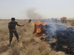 ۴۰۰ مترمربع از نیزارهای منطقه چاه عروس ابوزیدآباد  در آتش سوخت