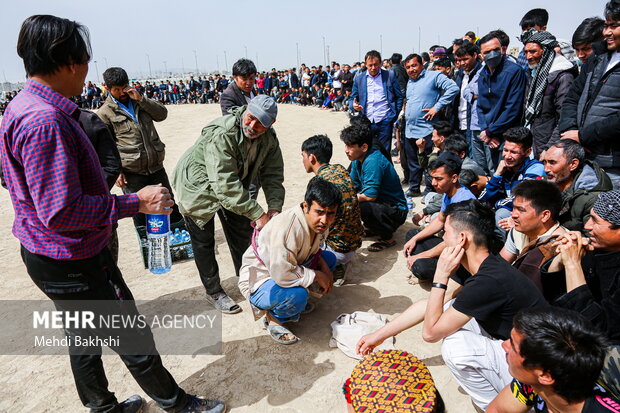 جشن نوروز افغانستانی های مقیم قم با برگزاری مسابقه سنتی کشتی