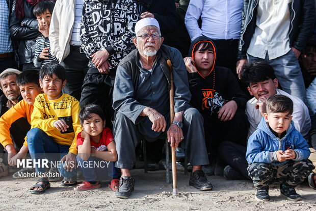 جشن نوروز افغانستانی های مقیم قم با برگزاری مسابقه سنتی کشتی