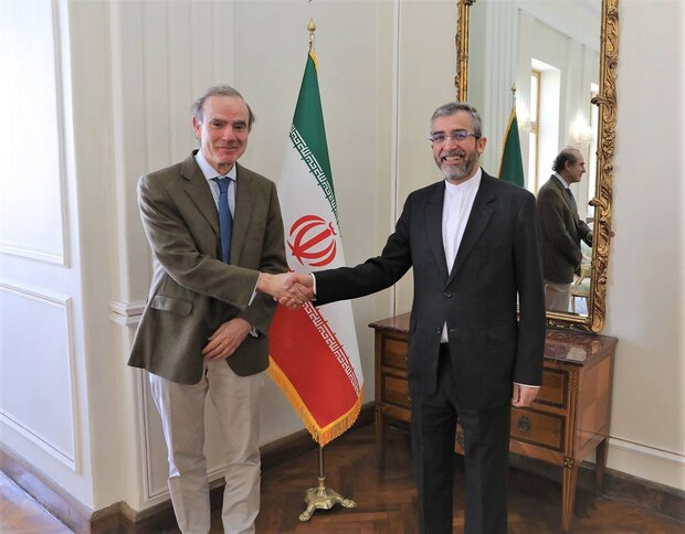 Bagheri Kani, Mora discuss Vienna talks in Tehran