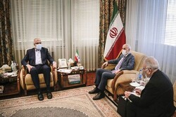 Iran, Armenia discuss expanding coop. in energy field
