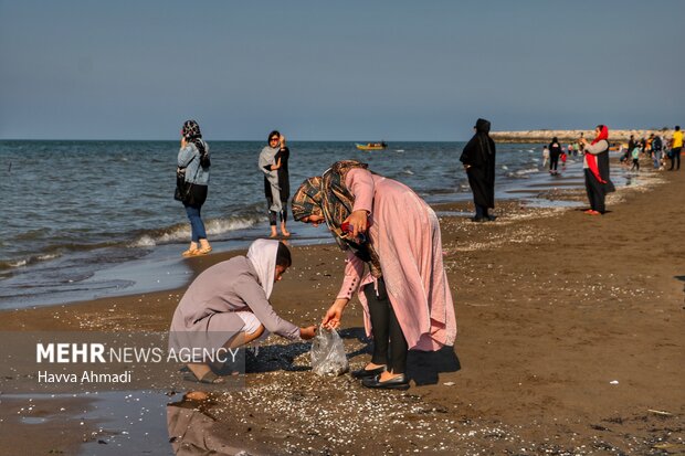 Caspian sea shores in Mazandaran province