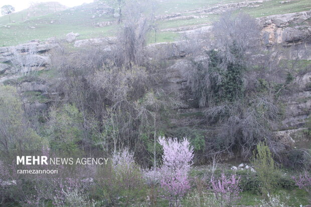 Kolm village in Ilam province.