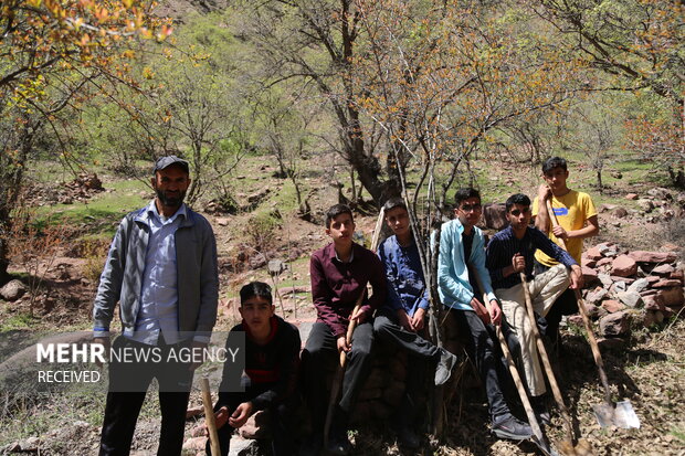 خدمت رسانی جهادگران در مناطق محروم مشایخ