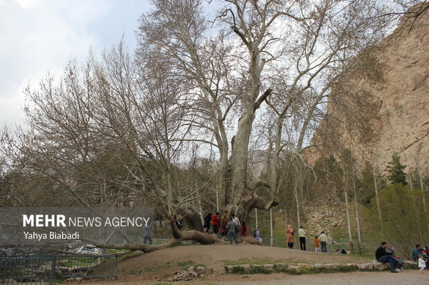 مجموعه تاریخی«طاق بستان» میزبان گردشگران نوروزی