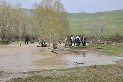 کشف جسد دختر غرق شده در سلاله چایی گرمی