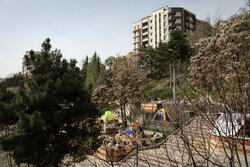 اسکان نوروزی شهروندان در بوستان‌های تهران +اسامی و آدرس پارک‌ها
