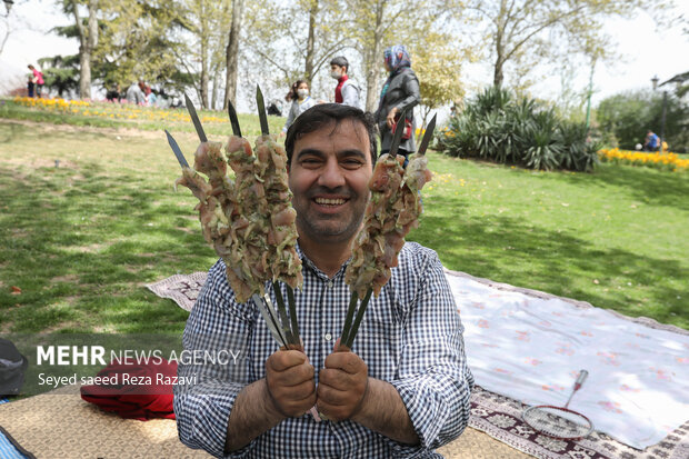 مردم تهران روز سیزدهم فروردین را با شادابی و طراوات بهار در دامن طبیعت  در پارک ملت تهران گذراندند