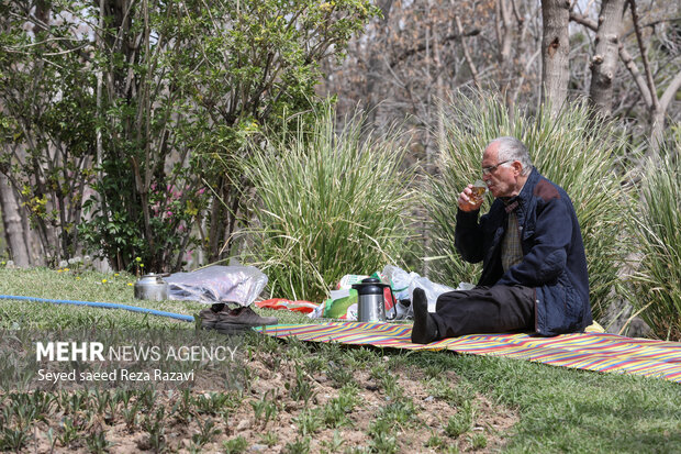 Nature Day in Tehran