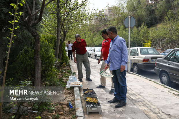 مردم تهران روز طبیعت را در بوستان نهج البلاغه تهران گذراندند