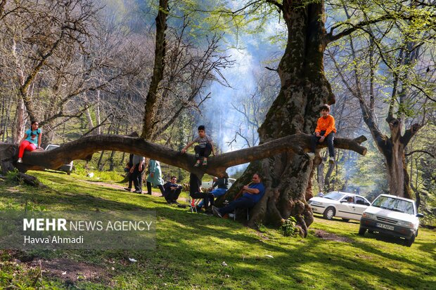 روز طبیعت در مازندران
