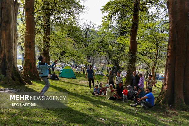 روز طبیعت در مازندران