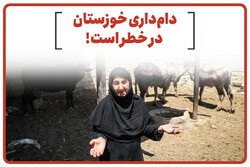دامداری خوزستان در خطر است!