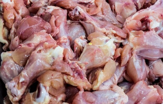کشف بیش از ۱۵ تن مرغ و گوشت فاسد در سال گذشته