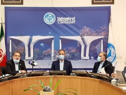 توضیحات دانشگاه تهران درباره جابجایی درختان/ مجوزهای لازم از شهرداری اخذ شده بود
