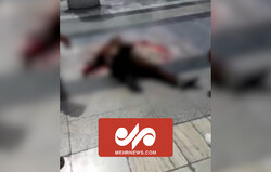 مشہد مقدس میں حرم مطہر رضوی میں دو طالب علموں پر حملہ