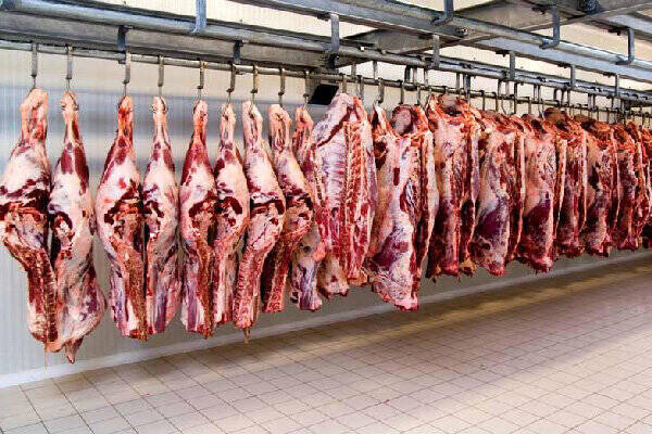 افزایش بی رویه قیمت گوشت قرمز در کرمانشاه پذیرفتنی نیست