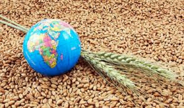 Conflict in Ukraine threatens food security in world